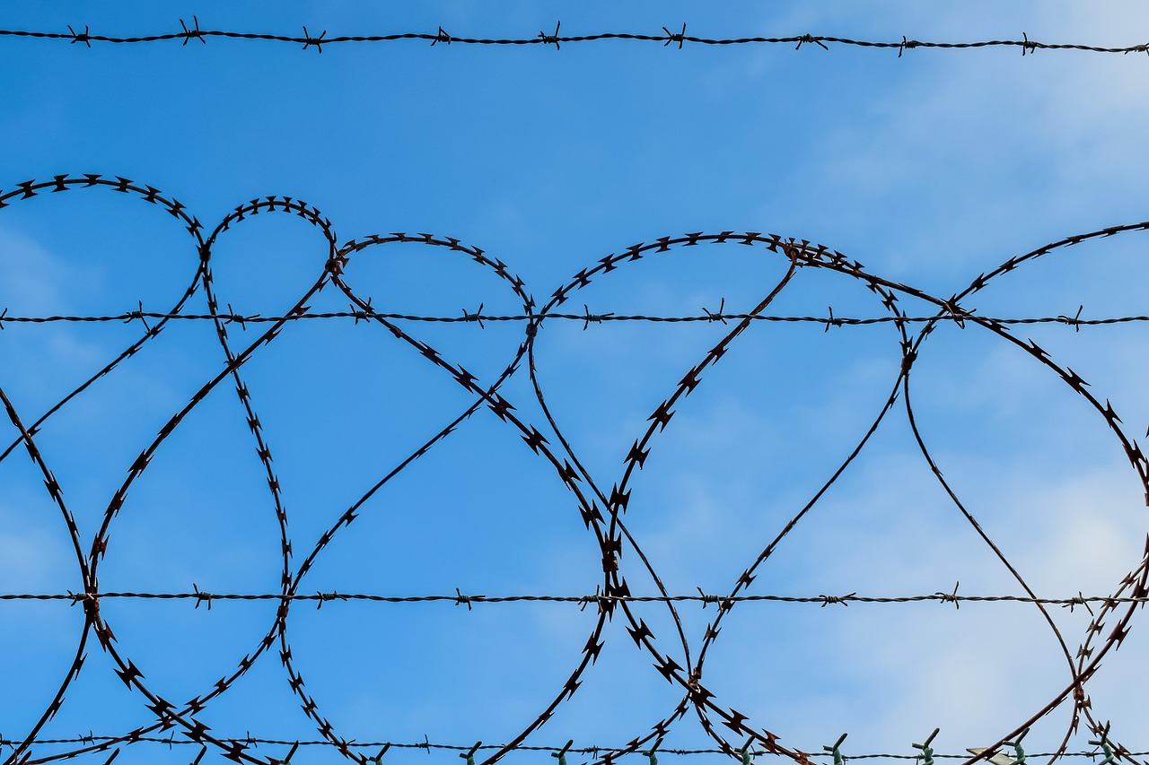 飞网ip实名账号：九寨沟零食购买平台