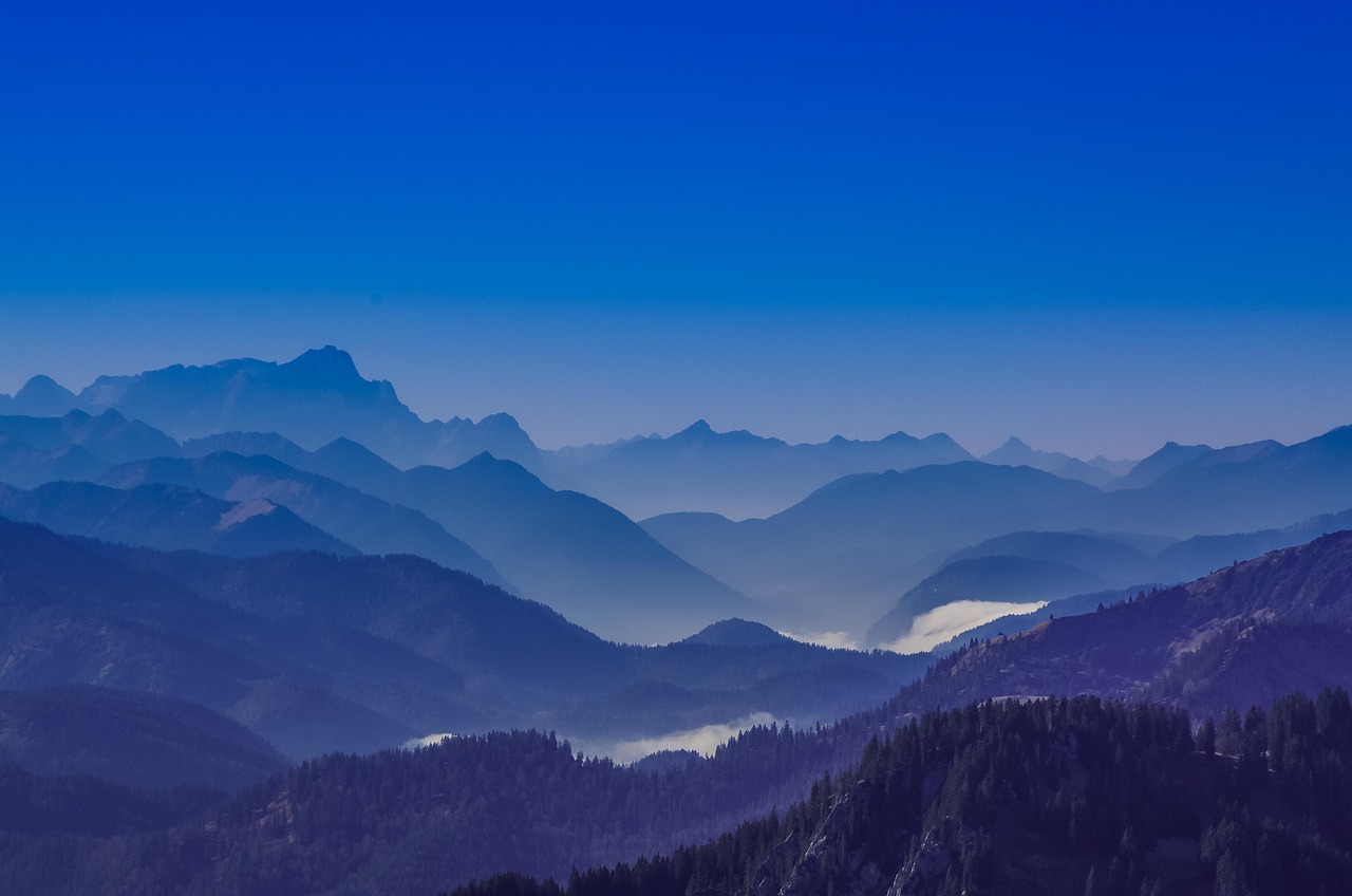 趣约会实名账号：深圳注册代理费用