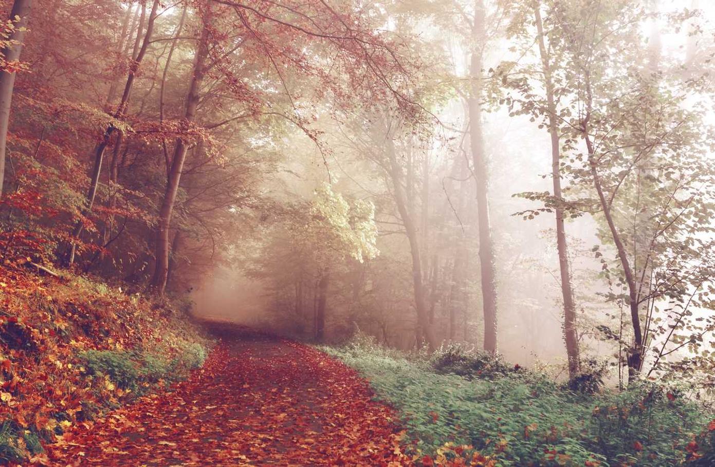 友盟实名账号：手办购买平台推荐