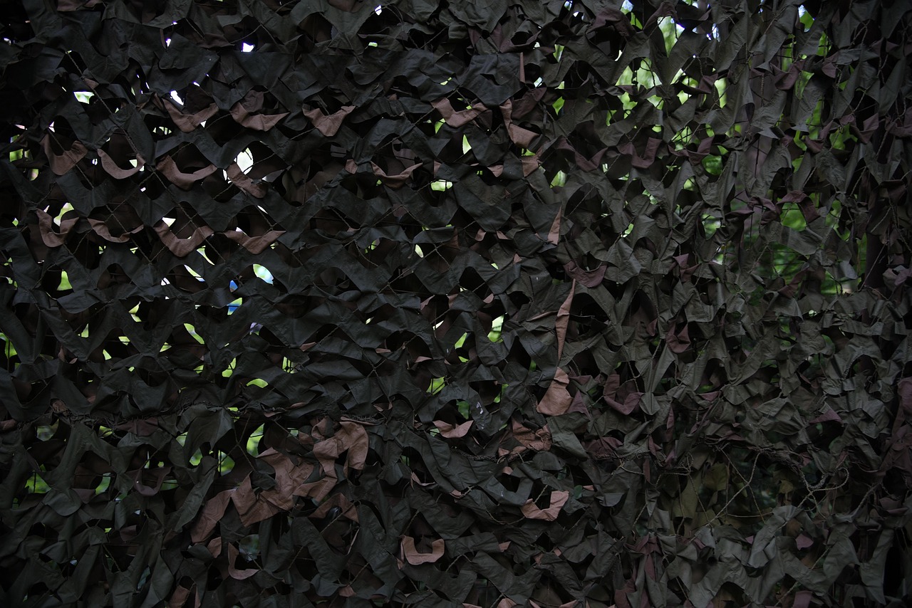 英雄这边请：英雄联盟熟练度购买平台