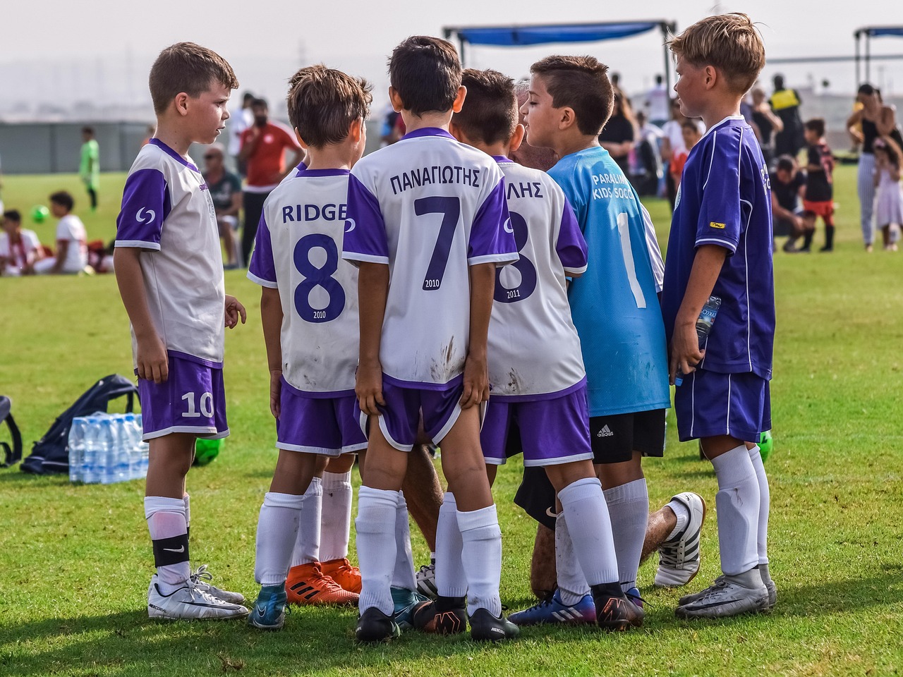 星美生活实名账号:代理 公司 注册 上海