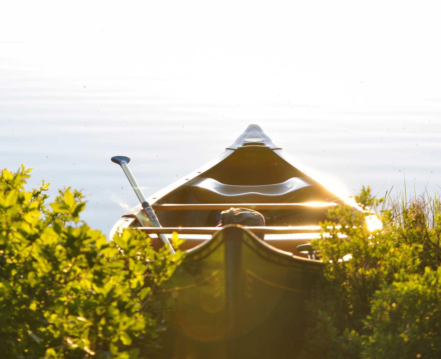 缅甸云斯顿蓝莓爆珠:国信人力app详情下载教程